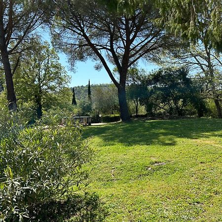 Campo Di Carlo ξενώνας Sassetta Εξωτερικό φωτογραφία
