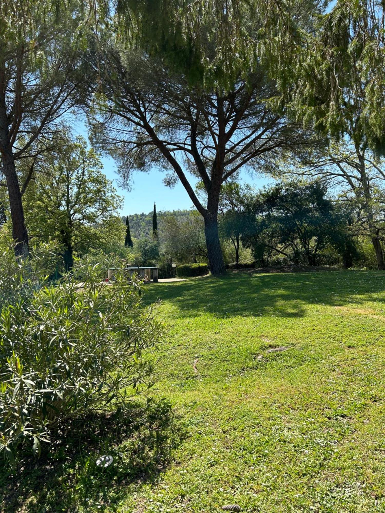 Campo Di Carlo ξενώνας Sassetta Εξωτερικό φωτογραφία