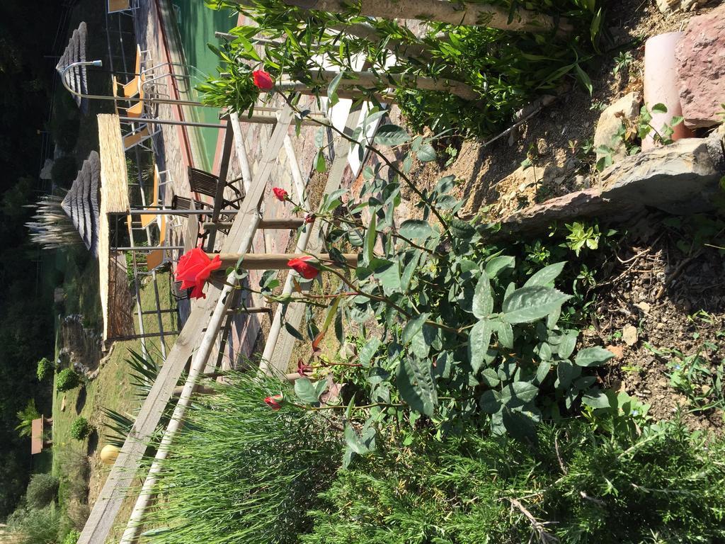 Campo Di Carlo ξενώνας Sassetta Εξωτερικό φωτογραφία