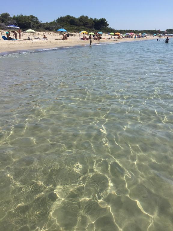 Campo Di Carlo ξενώνας Sassetta Εξωτερικό φωτογραφία
